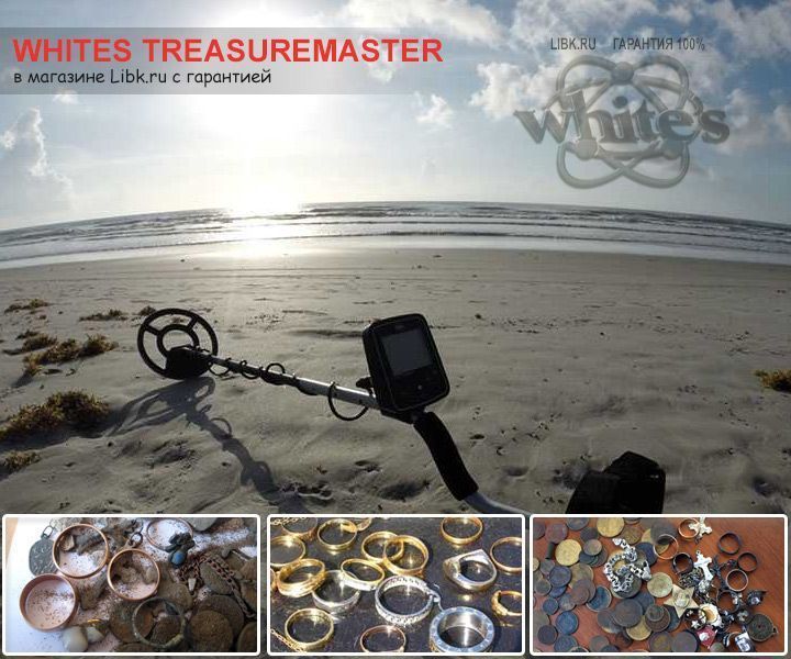 Металлоискатель Whites TreasureMaster