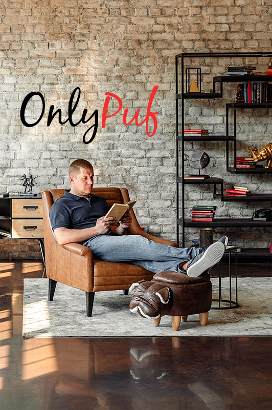 Пуфик собака OnlyPuf Пуфик собака OnlyPuf